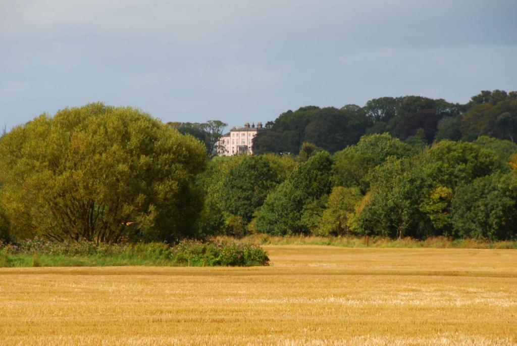 Longueville House Hotel Mallow Eksteriør billede